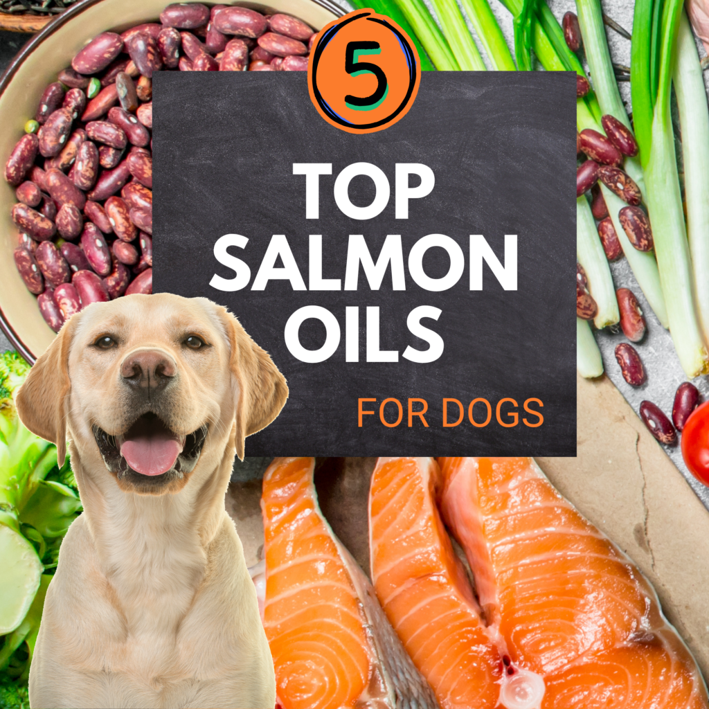 Salmon Oil for Dogs: Discover the Benefits

Salmon oil is more than just a trendy supplement for  dogs—it’s a powerhouse of nutrition that can significantly improve your dog’s health. From promoting a shiny coat to supporting joint health, salmon oil offers a wide range of benefits. 