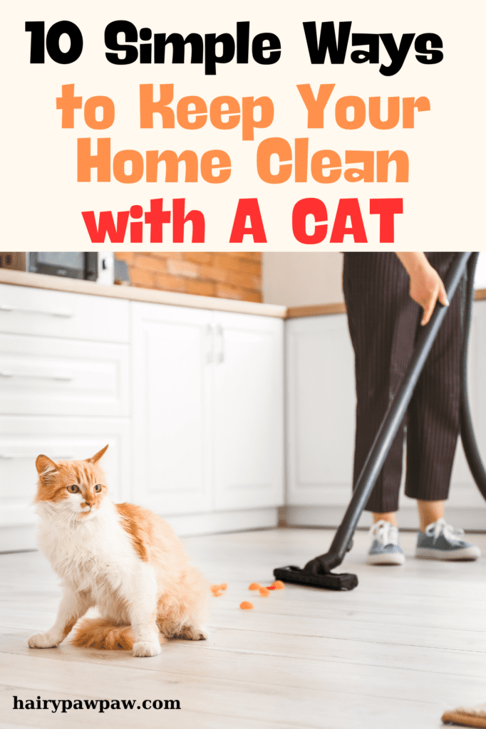 How to Maintain a Clean House with a Cat: 10 Tips
Cats are wonderful companions, but they can also bring a unique set of challenges when it comes to keeping your home clean. From shedding fur to tracking litter, maintaining a tidy living space with a feline friend requires some extra effort. However, with the right strategies, you can enjoy a clean and fresh home without sacrificing your cat’s comfort or happiness. Here are ten effective ways to keep a clean house with a cat.