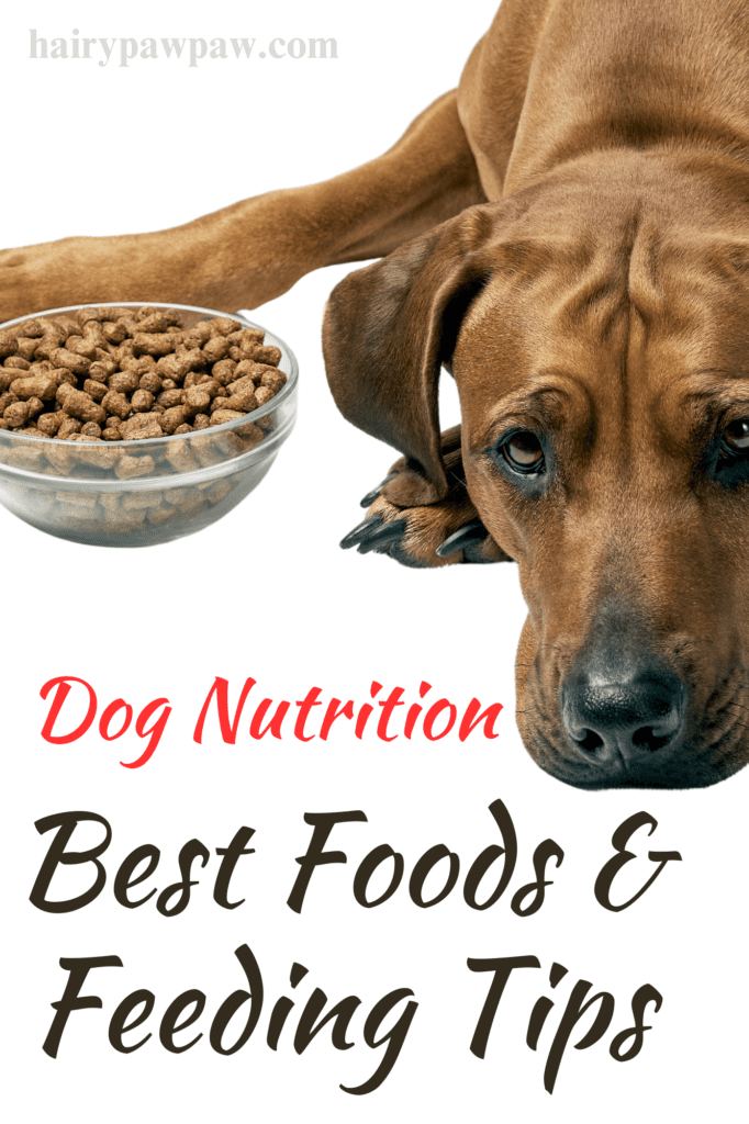 Dog Nutrition: Best Foods & Feeding Tips for a Healthy Pet
Ensuring your dog gets optimal nutrition is one of the most important responsibilities as a  pet owner. A well-balanced diet affects not only your dog’s physical health but also its mood, energy levels, and longevity. Whether you’re a new dog owner or just looking to enhance your furry friend’s diet, understanding the essentials of dog nutrition can make a significant difference in their quality of life. In this detailed guide, we’ll explore the best foods for  dogs, feeding guidelines, and key factors to consider when crafting a healthy diet.