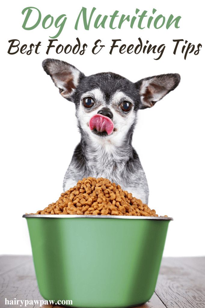 The Ultimate Guide to Dog Nutrition: Best Foods and Feeding

This post may contain affiliate links, which means I’ll receive a commission if you purchase through my link, at NO EXTRA COST TO YOU


Ensuring your dog gets optimal nutrition is one of the most important responsibilities as a pet owner. A well-balanced diet affects not only your dog’s physical health but also its mood, energy levels, and longevity. Whether you’re a new dog owner or just looking to enhance your furry friend’s diet, understanding the essentials of dog nutrition can make a significant difference in their quality of life. In this detailed guide, we’ll explore the best foods for dogs, feeding guidelines, and key factors to consider when crafting a healthy diet.