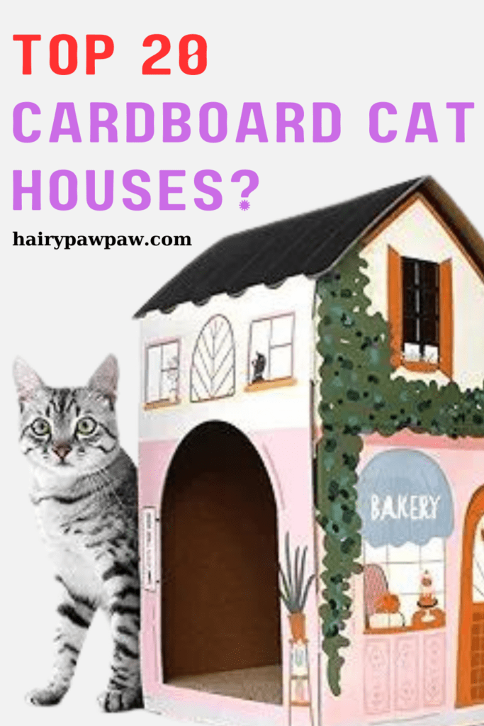 The Charm of Cardboard Cat House for Your Feline Friend

 Cats absolutely adore cozy hideaways, and  cardboard cat houses provide the ideal mix of comfort and fun. These simple yet charming structures give your feline friend a safe space to play, sleep, and explore. Plus, they’re a hit with most cats! In this blog, we’ll dive into the many benefits of cardboard cat houses, uncover the reasons why cats are so drawn to them, and highlight some top picks you might consider for your pet. So, get ready to discover how these cardboard retreats can bring joy and relaxation to your cat’s life!