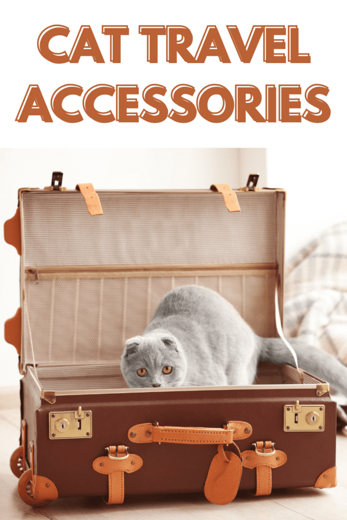 The Ultimate Guide to Cat Travel Accessories You Need