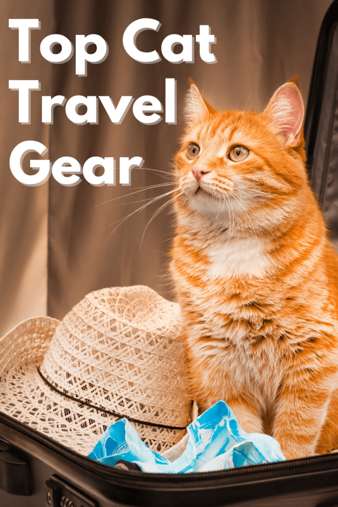 The Ultimate Guide to Cat Travel Accessories

Traveling with your feline friend can be an enjoyable experience if you have the right accessories. Whether you’re planning a road trip, a plane journey, or just a quick visit to the vet, having the proper gear ensures your cat’s comfort and safety. This ultimate guide will cover everything you need to know about cat travel accessories, from carriers to calming aids. Let’s dive into the essentials and make your next trip with your cat stress-free and enjoyable.