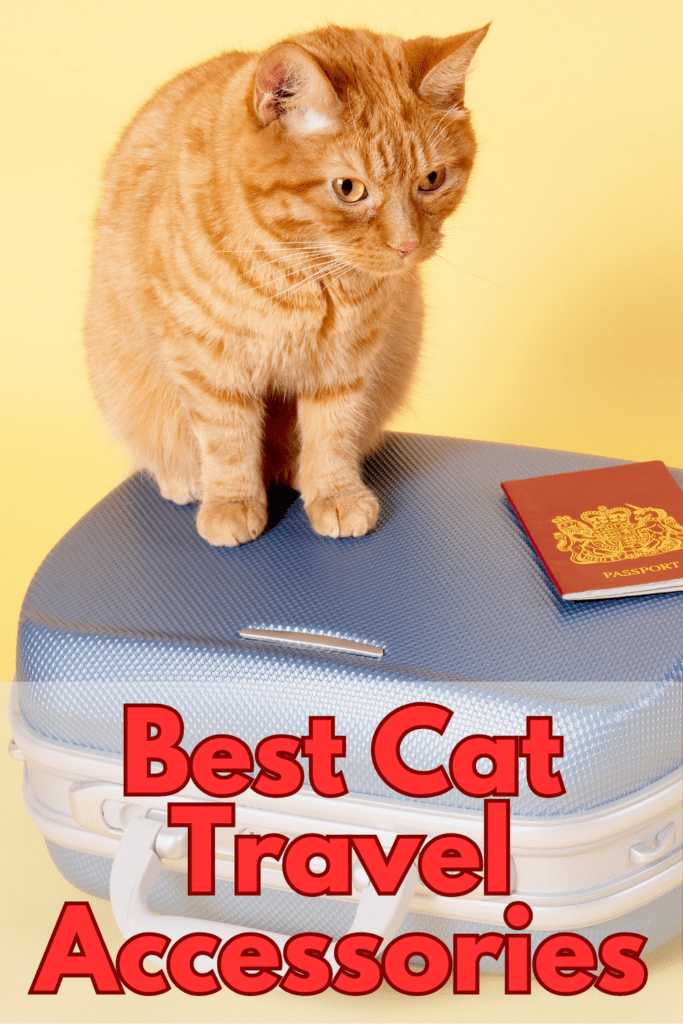 The Ultimate Guide to Cat Travel Accessories You Need

This post may contain affiliate links, which means I’ll receive a commission if you purchase through my link, at NO EXTRA COST TO YOU

Traveling with your feline friend can be an enjoyable experience if you have the right accessories. Whether you’re planning a road trip, a plane journey, or just a quick visit to the vet, having the proper gear ensures your cat’s comfort and safety. This ultimate guide will cover everything you need to know about cat travel accessories, from carriers to calming aids. Let’s dive into the essentials and make your next trip with your cat stress-free and enjoyable.