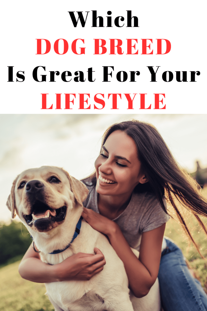 Best Dog Breeds for Every Lifestyle: A Complete Guide

This post may contain affiliate links, which means I’ll receive a commission if you purchase through my link, at NO EXTRA COST TO YOU

Choosing the right dog breed for your lifestyle is a crucial decision. This choice can significantly impact your happiness and your dog’s well-being. With so many breeds available, finding the perfect match may seem overwhelming. However, by considering a few key factors, you can narrow down your options and select a dog that complements your lifestyle.

Understand Your Activity Level
First and foremost, evaluate your activity level. Are you an active person who enjoys outdoor activities like hiking and running? Or do you prefer a more relaxed lifestyle with leisurely walks? High-energy breeds like Border Collies, Australian Shepherds, and Labrador Retrievers thrive with lots of exercise and mental stimulation. On the other hand, if you prefer a quieter lifestyle, breeds like Bulldogs, Basset Hounds, or Shih Tzus may be more suitable, as they require less physical activity.