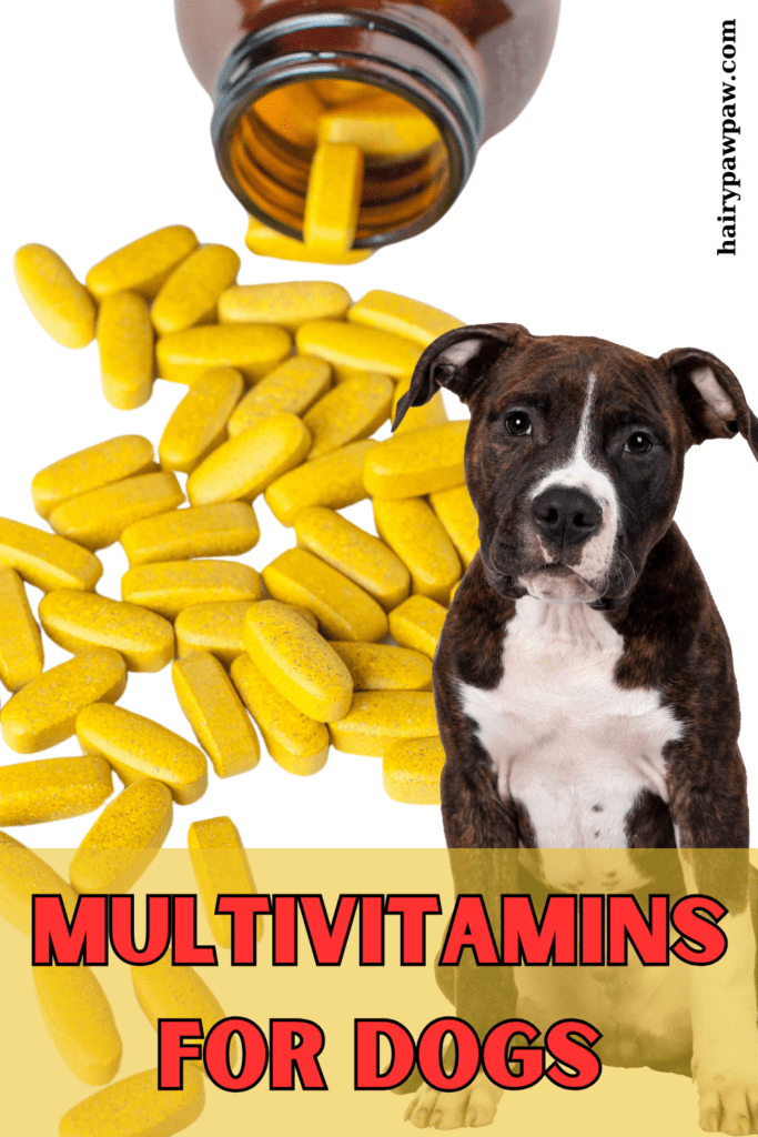 Why Your Dog Might Need Multivitamins
Even with a high-quality diet, some dogs may require additional vitamins and minerals to stay healthy. Here are a few reasons why:

Nutrient Gaps:
Home-cooked meals or certain commercial dog foods may lack essential nutrients, making supplementation necessary.
Life Stages:
Puppies, senior dogs, and pregnant or lactating dogs have different nutritional needs that multivitamins can help fulfill.
Health Conditions:
Dogs with specific health issues, such as joint problems, skin conditions, or immune deficiencies, may benefit from targeted multivitamins.
Active or Working Dogs:
Dogs with high energy levels or those involved in rigorous activities may require additional vitamins to support their lifestyle.
Picky Eaters:
If your dog is a picky eater, they might not be getting all the nutrients they need from their food, making multivitamins a helpful addition.