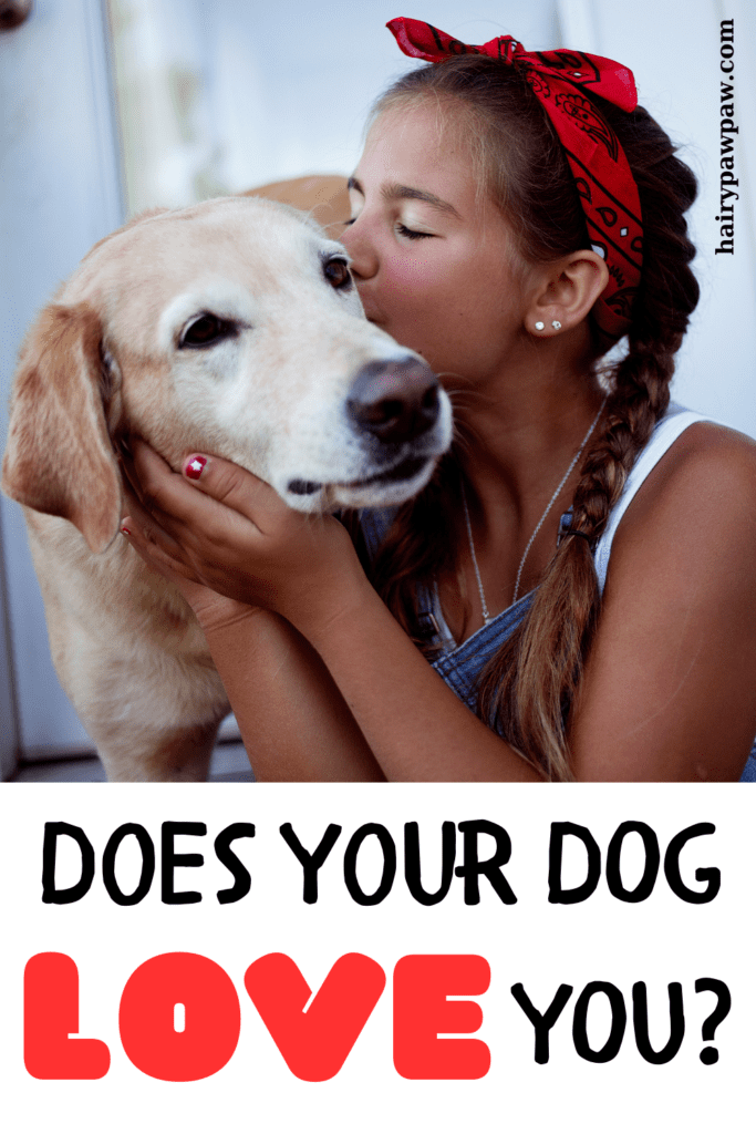 Does Your Dog Love You? – 10 Important Signs
As dog owners, we often wonder how our furry friends feel about us. Do they really love us, or are we just the ones who provide food and shelter? Understanding the signs of a dog’s love can strengthen the bond between you and your pup, making your relationship even more special. In this blog, we’ll explore the top 10 ways to know if your dog truly loves you.