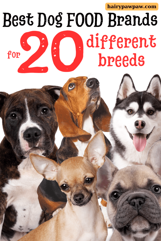 The Best Dog Food Brands for Popular Dog Breeds
Finding the right  dog food for your furry companion can feel overwhelming, especially with so many options on the market. However, the right nutrition is essential for your dog’s health, energy levels, and overall well-being. What works for one breed might not be ideal for another, so it’s important to choose a dog food that caters to your dog’s specific breed, size, and nutritional needs. In this guide, we’ll explore some of the best dog food brands tailored to different breeds, helping you make the best choice for your pet.