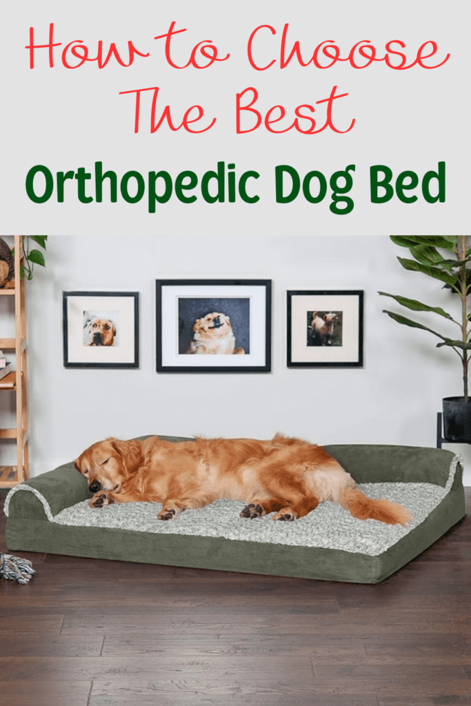 The Best 10 Orthopedic Dog Beds for Joint Support

This post may contain affiliate links, which means I’ll receive a commission if you purchase through my link, at NO EXTRA COST TO YOU

Orthopedic dog beds are not just a luxury; they are a necessity for many dogs, especially as they age or if they suffer from joint issues. These beds provide the necessary support to alleviate pain, promote better sleep, and improve overall quality of life. In this comprehensive guide, we will explore everything you need to know about orthopedic dog beds, including their benefits, features to look for, and how to choose the best one for your dog. By understanding the importance of these specialized beds, you can make an informed decision that will contribute to your dog’s comfort and health.