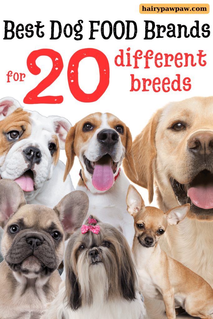 Best Dog Food Brands for Different Breeds: A Comprehensive Guide