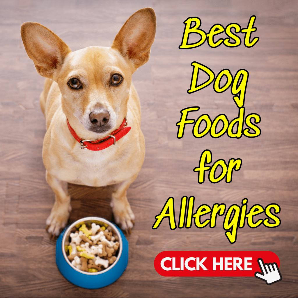 Best Dog Foods for Allergies
When your  dog suffers from food allergies, finding the right food can make a world of difference. Many  pet owners face this challenge, and with so many options on the market, it’s hard to know where to begin. But the good news is, choosing the best dog food for allergies doesn’t have to be complicated. In fact, with a bit of guidance, you can quickly identify the top choices that will not only alleviate your dog’s symptoms but also promote overall health.