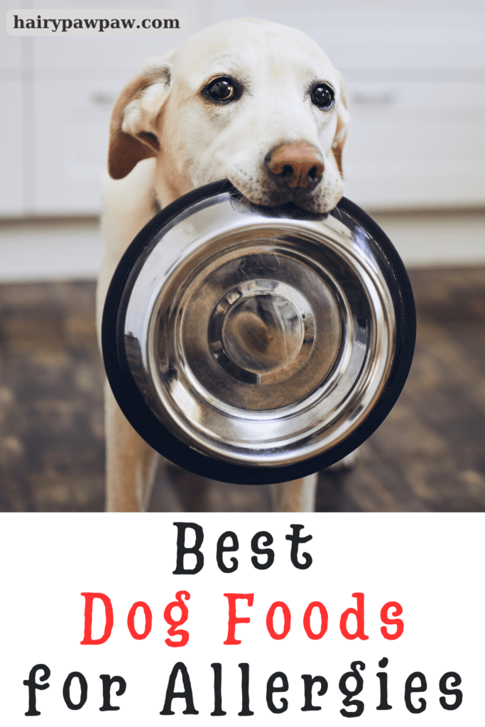 Understanding Food Allergies in Dogs
Before diving into the best food options, let’s first understand what food allergies are and how they affect dogs. Dogs can develop allergic reactions to specific ingredients in their diet, and these reactions often cause symptoms like skin irritation, digestive issues, or chronic ear infections.

Typically, dogs become allergic to protein sources like beef, chicken, or dairy. However, grains and fillers such as wheat and soy can also trigger allergic responses. Once your dog develops a food allergy, symptoms may worsen over time if the allergen remains in their diet.

Signs Your Dog May Have Food Allergies
Recognizing the signs of food allergies in your dog can help you take action sooner. Several key symptoms can indicate your dog is experiencing an allergic reaction:

Chronic Itching – One of the most common symptoms is excessive itching, particularly around the paws, face, or belly. Your dog may scratch or bite the affected areas continuously.
Digestive Problems – Vomiting, diarrhea, and excessive gas may signal that your dog’s digestive system isn’t agreeing with certain foods.
Ear Infections – If your dog frequently suffers from ear infections, especially alongside other symptoms, food allergies could be the underlying cause.
Skin Redness or Rashes – Red, inflamed skin or the development of hives can indicate that your dog’s immune system is reacting to an allergen in their food.
If you notice any of these signs, consulting your vet is essential. Once you identify the food causing the reaction, transitioning your dog to a hypoallergenic diet is crucial.