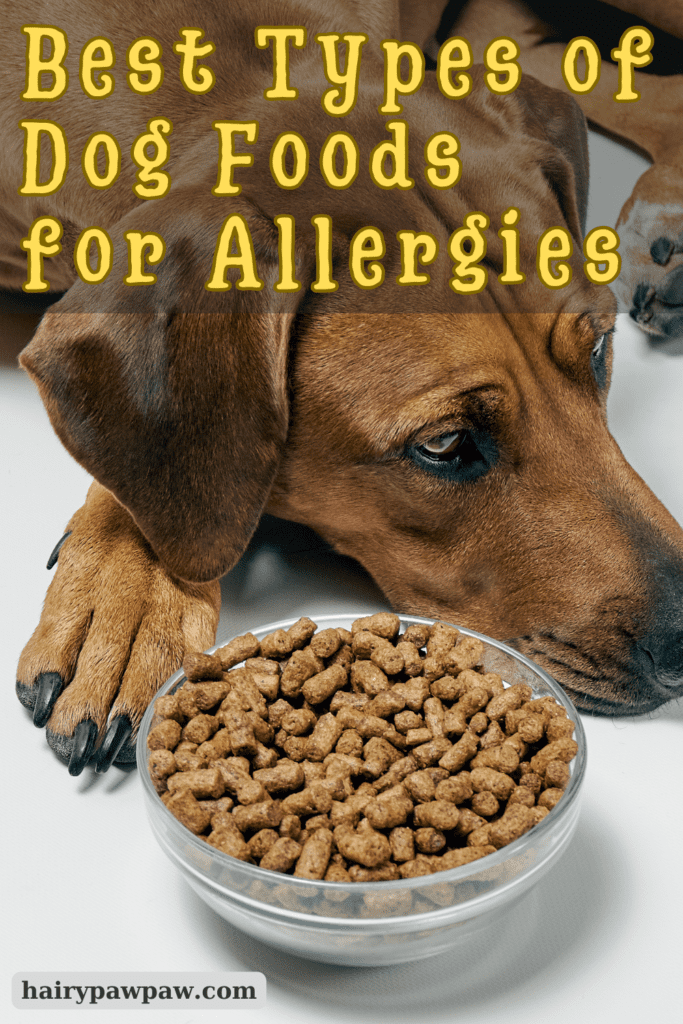 Understanding Food Allergies in Dogs
Before diving into the best food options, let’s first understand what food allergies are and how they affect  dogs. Dogs can develop allergic reactions to specific ingredients in their diet, and these reactions often cause symptoms like skin irritation, digestive issues, or chronic ear infections.

Typically, dogs become allergic to protein sources like beef, chicken, or dairy. However, grains and fillers such as wheat and soy can also trigger allergic responses. Once your dog develops a food allergy, symptoms may worsen over time if the allergen remains in their diet.

Signs Your Dog May Have Food Allergies
Recognizing the signs of food allergies in your dog can help you take action sooner. Several key symptoms can indicate your dog is experiencing an allergic reaction:

Chronic Itching – One of the most common symptoms is excessive itching, particularly around the paws, face, or belly. Your dog may scratch or bite the affected areas continuously.
Digestive Problems – Vomiting, diarrhea, and excessive gas may signal that your dog’s digestive system isn’t agreeing with certain foods.
Ear Infections – If your dog frequently suffers from ear infections, especially alongside other symptoms, food allergies could be the underlying cause.
Skin Redness or Rashes – Red, inflamed skin or the development of hives can indicate that your dog’s immune system is reacting to an allergen in their food.