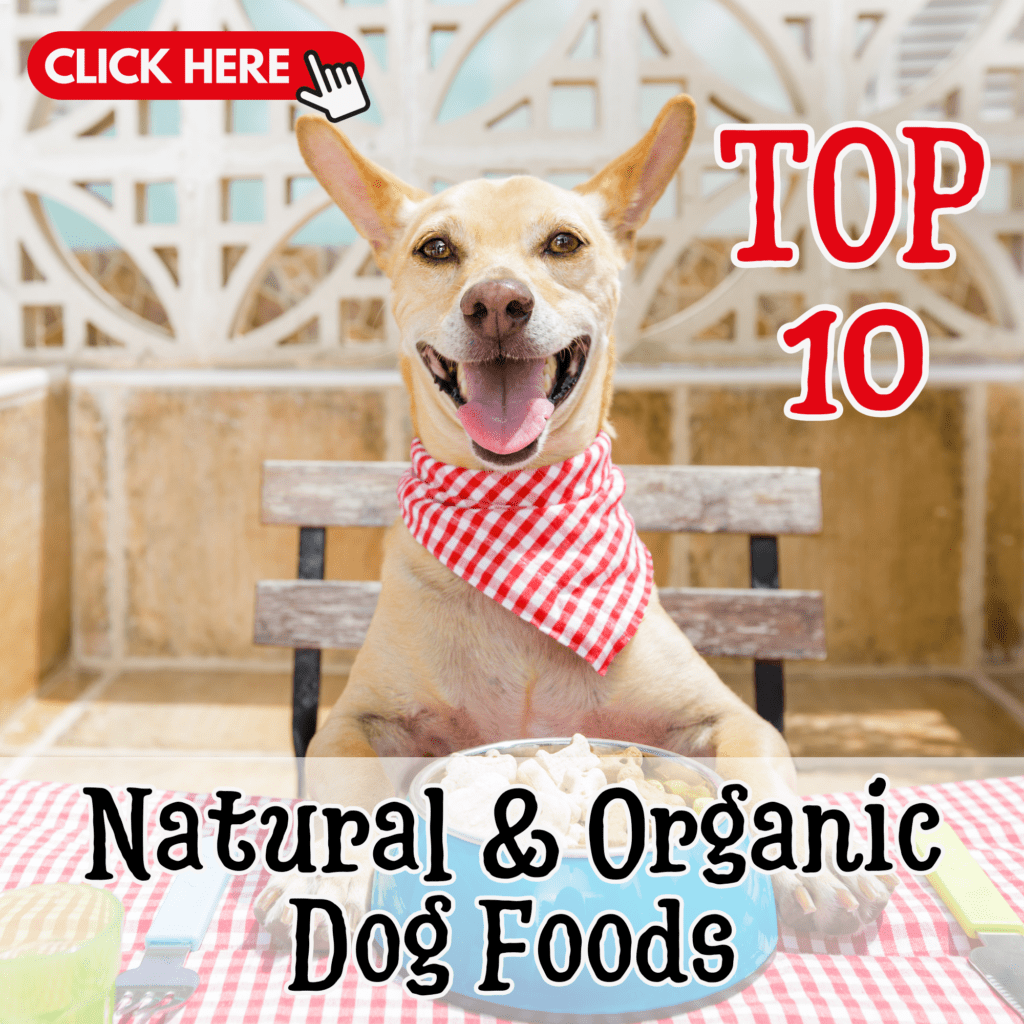 10 of the Best Natural and Organic Dog Foods for a Healthier Pet