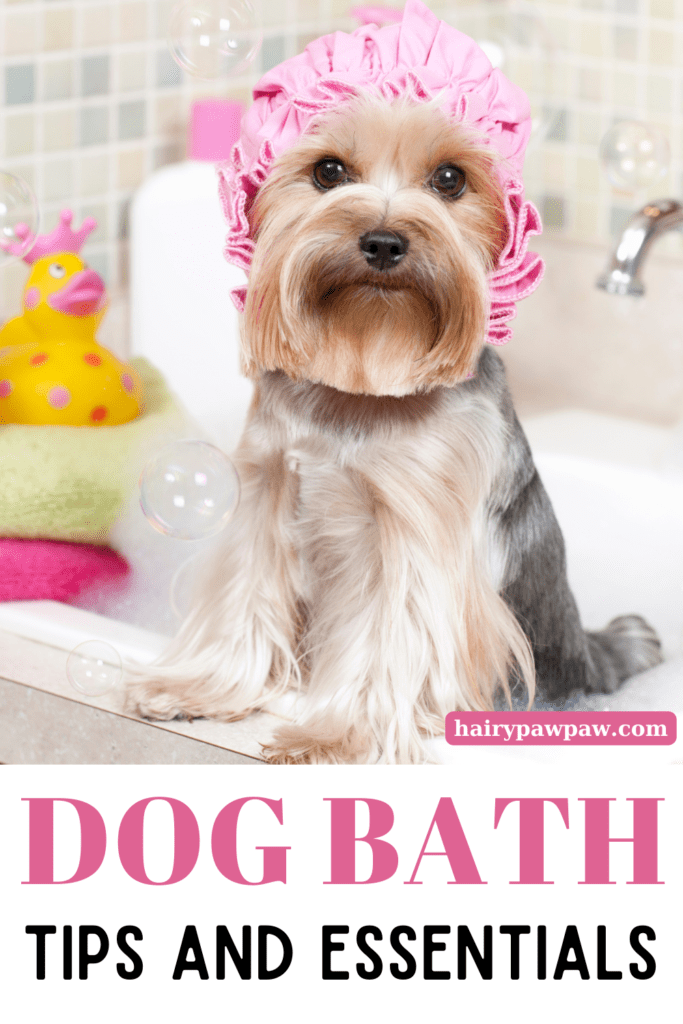 Bathing your dog is an essential part of pet care, ensuring your furry friend stays clean, healthy, and comfortable. However, the process can be tricky, especially if your dog isn’t a fan of water. This guide will walk you through the best tips and must-have essentials for a successful dog bath, making the experience enjoyable for both you and your pet.