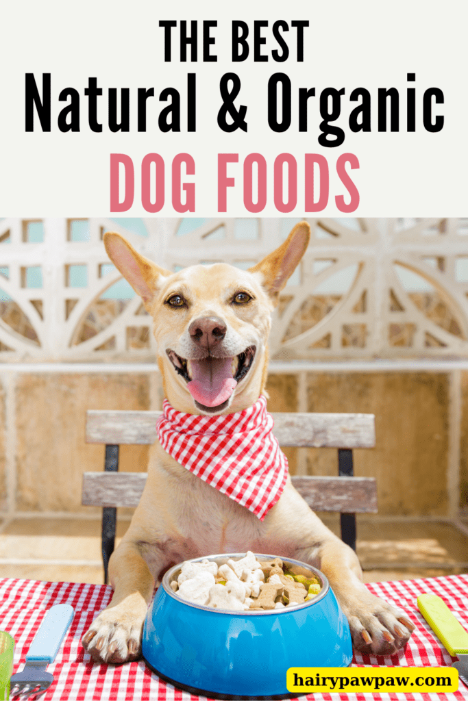 10 of the Best Natural and Organic Dog Foods for a Healthier Pet
Finding the best natural and organic dog food can significantly improve your  pet’s overall health and well-being. With so many options available, choosing the right one might seem overwhelming. However, knowing which brands prioritize quality ingredients, free of harmful additives, can make the decision easier. In this guide, we’ll explore 10 of the best natural and organic dog foods, highlighting their benefits and what makes them stand out. This way, you can make an informed choice for your furry friend, ensuring they receive the optimal nutrition they deserve.