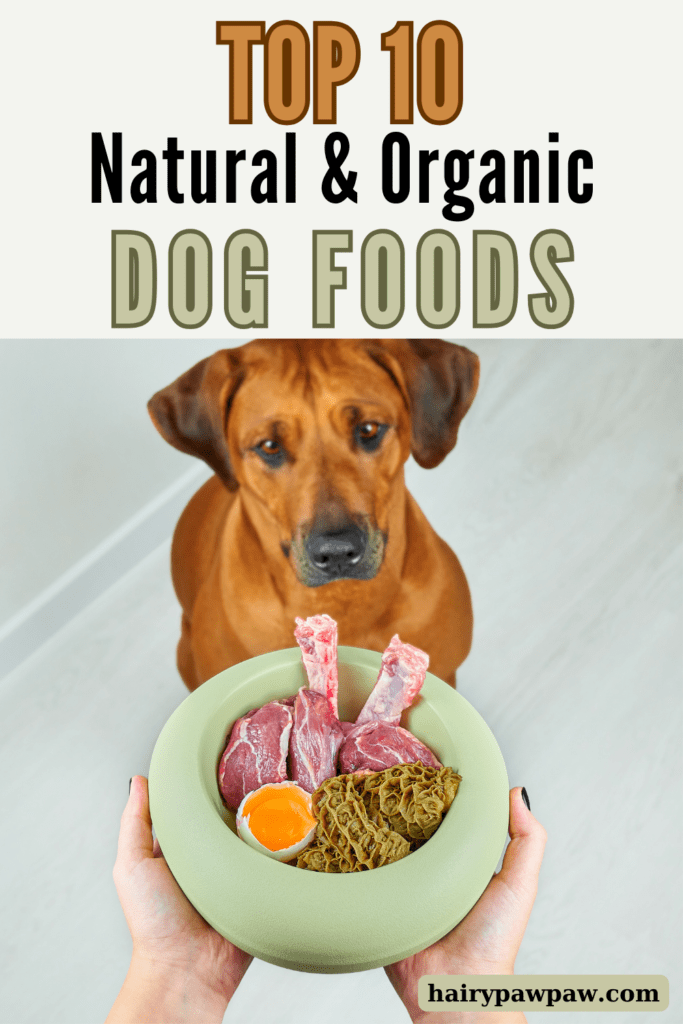 10 of the Best Natural and Organic Dog Foods for a Healthier Pet
Finding the best natural and  organic  dog food can significantly improve your pet’s overall health and well-being. With so many options available, choosing the right one might seem overwhelming. However, knowing which brands prioritize quality ingredients, free of harmful additives, can make the decision easier. In this guide, we’ll explore 10 of the best natural and organic dog foods, highlighting their benefits and what makes them stand out. This way, you can make an informed choice for your furry friend, ensuring they receive the optimal nutrition they deserve.