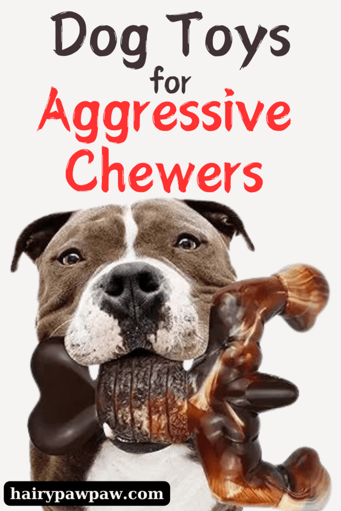 Best Large Dog Chew Toys: Strong for Aggressive Chewers