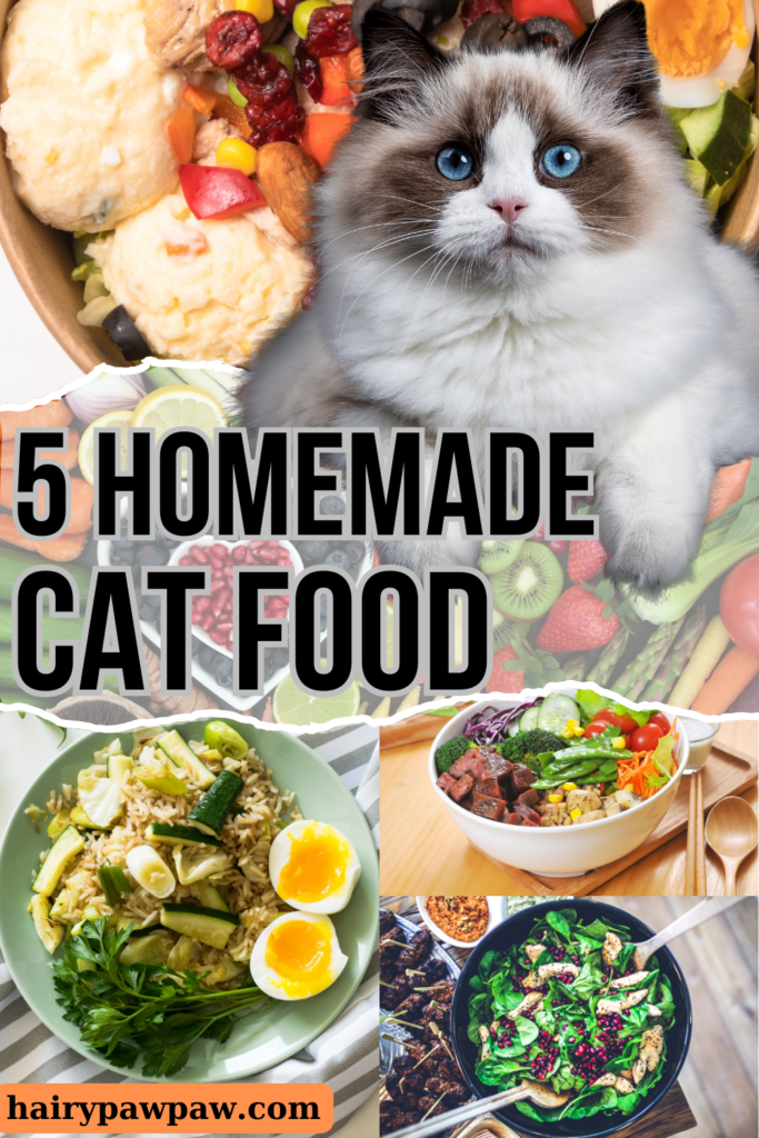 5 Healthy Homemade Cat Meals Your Feline Will Love

Buy vitamins and supplements
Treating your  cat to homemade meals can be a rewarding way to ensure they’re getting both delicious and nutritious food. In this blog, we explore five easy-to-make recipes that are perfect for keeping your feline friend healthy and satisfied. From Chicken and  Pumpkin Stew to Tuna and Spinach Blend, each meal is crafted to provide essential nutrients while catering to your cat’s taste preferences. These recipes not only support your cat’s overall well-being but also offer a variety of flavors and textures that will keep them excited about mealtime. Discover how simple ingredients can make a big difference in your cat’s diet and enjoy the benefits of homemade pet food.