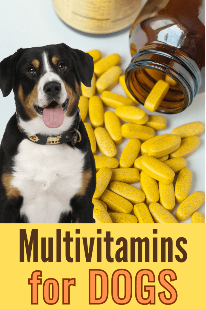 Multivitamins for Dogs: A Simple Way to Boost Their Health

Multivitamins can be a valuable addition to your dog’s diet, providing essential nutrients that might be missing from their regular food. Whether your dog needs a boost in joint health, immune support, or overall wellness, choosing the right multivitamin can make a significant difference in their quality of life.

When selecting a multivitamin, consider your dog’s specific needs, consult with your veterinarian, and opt for high-quality brands that are known for their effectiveness and safety. With the right multivitamin, you can ensure that your furry friend stays happy, healthy, and full of vitality.