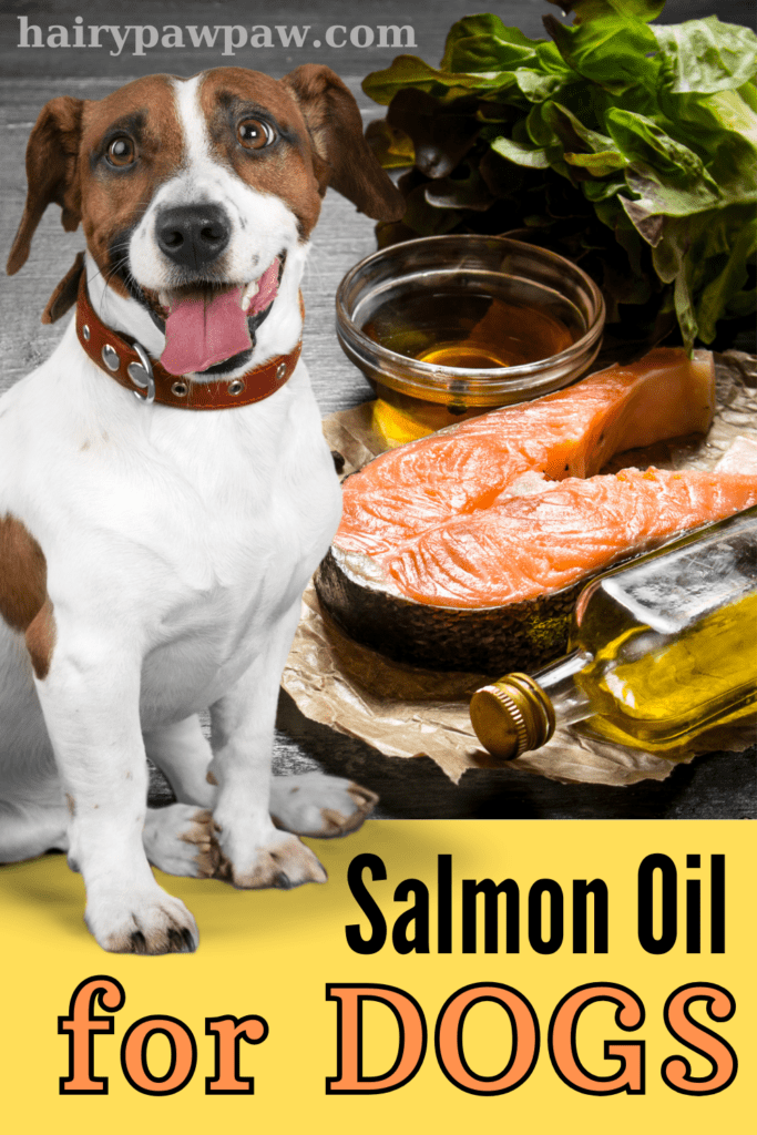 Salmon oil is more than just a trendy supplement for dogs—it’s a powerhouse of nutrition that can significantly improve your dog’s health. From promoting a shiny coat to supporting joint health, salmon oil offers a wide range of benefits. In this comprehensive guide, we’ll delve into everything you need to know about salmon oil for dogs, including its benefits, proper dosage, and the best salmon oils available on the market.