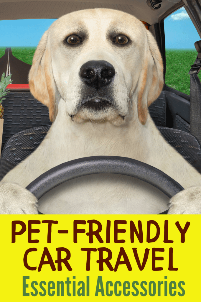 The Best Car Accessories for Pets: Make Every Trip Pet-Friendly