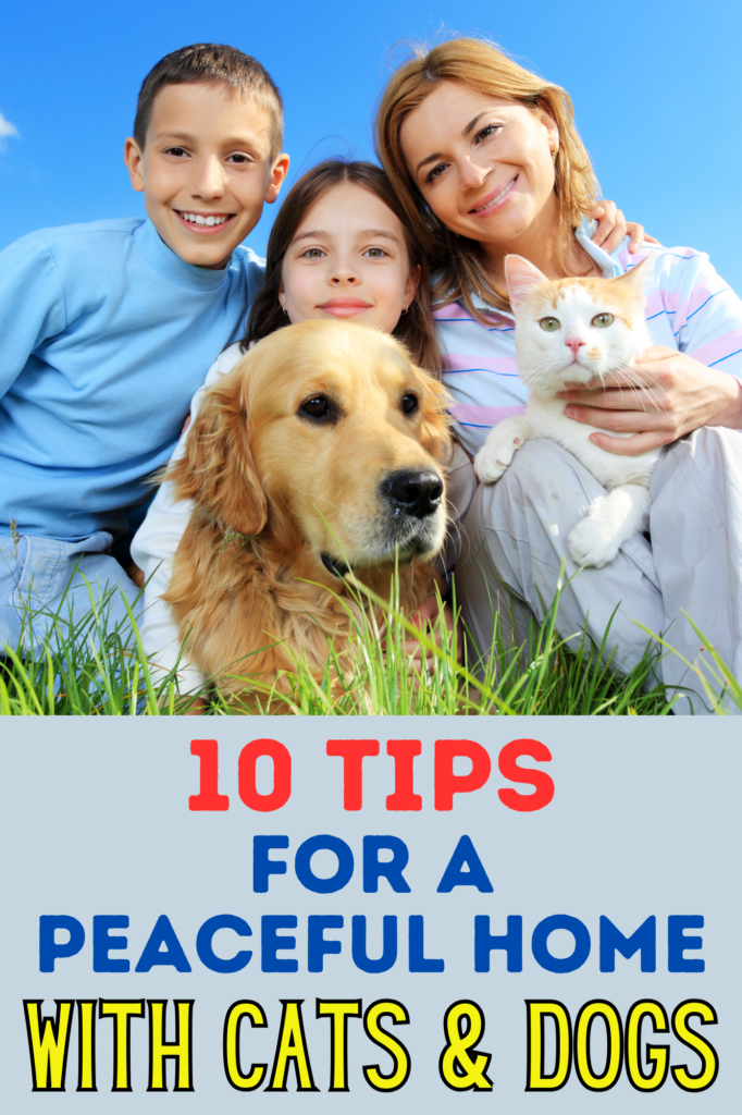 How to Create a Harmonious Home: 10 Tips for Cats and Dogs

This post may contain affiliate links, which means I’ll receive a commission if you purchase through my link, at NO EXTRA COST TO YOU

Bringing both  cats and  dogs under one roof can seem like a daunting task, but it’s entirely achievable. With the right approach and a little patience, your furry friends can live together harmoniously. To help you achieve this goal, here are ten essential tips that will guide you every step of the way.