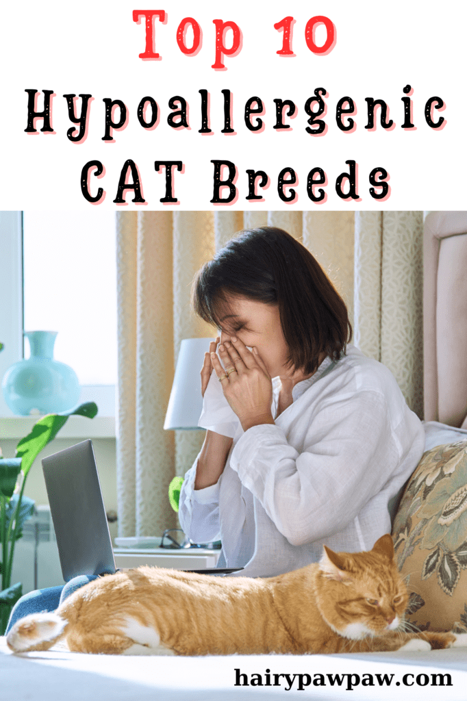 Top 10 Hypoallergenic Cat Breeds: Allergy-Friendly Felines for Cat Lovers