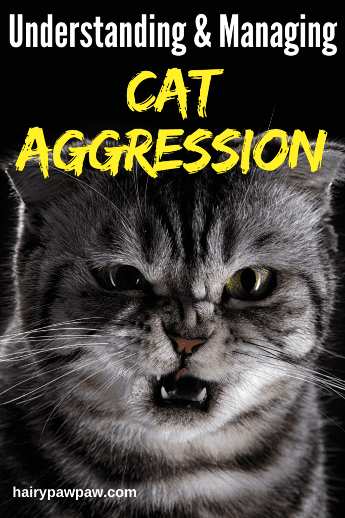 Understanding Why Cats Bite: Common Reasons and How to Respond

Cat biting is a complex behavior with many possible causes, from playful instincts to underlying medical issues. Understanding why  cats bite and learning how to respond appropriately can strengthen your bond with your feline friend and reduce the frequency of biting incidents. By providing a safe, enriched environment and respecting your cat’s boundaries, you can help ensure that your cat is happy, healthy, and less likely to use biting as a form of communication.