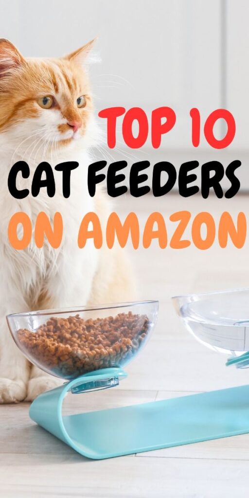 Top 10 Automatic Cat Feeders : Reviews, Pros & Cons