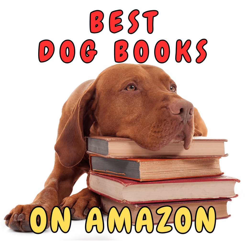 Ultimate Guide to the Best Dog Books on Amazon

Are you a dog lover eager to deepen your understanding of your furry friend? If so, you’re in luck! Whether you seek expert training advice, heartwarming tales, or comprehensive health guides, Amazon has a treasure trove of dog books to meet your needs.

In this blog post, we will explore the best dog books available on Amazon. We’ll cover a variety of categories, including training and behavior, memoirs and biographies, fiction, health and nutrition, and children’s books. Each category offers unique insights and enjoyment.