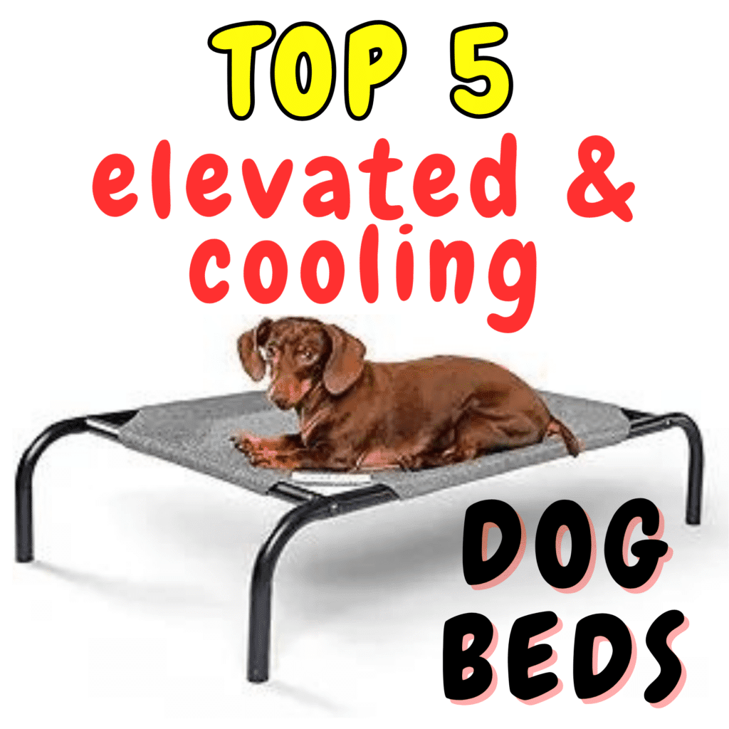 Top 5 Elevated Dog Cooling Beds: Key Features, Pros and Cons

Abstract: Beat the heat and keep your furry friend comfortable with the best elevated dog cooling beds available on Amazon. This guide highlights the top 5 cooling beds designed to provide optimal airflow and cooling for your  pet. From durable construction to easy maintenance, each bed offers unique features to enhance your dog’s comfort during hot weather. Discover the advantages and disadvantages of these top-rated cooling beds to find the perfect solution for your pet’s needs.