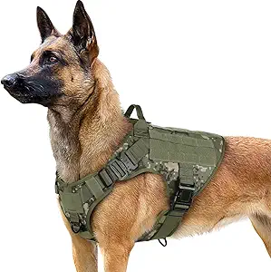 Large Dog Molle Vest: Neck Girth: 26.4” - 34.6” (67.1 - 87.9cm), Chest Girth: 33” - 41.3” (83.8 - 104.9cm), Belly Length: 13.3” - 17.7” (33.8 - 45cm), Back Length: 11.4” (29cm). Ideal for Large Breeds such as German Shepherds, Belgian Malinois, Golden Retrievers, Huskie, Labrador, Akita, etc. A professional working dog vest for service, police, or military dogs, but also suitable for hunting and all outdoor companion dogs
Military-standard Material: Heavy duty vest made of 1050D Nylon with sturdy stitching for extra durability and wearability, suitable for all field use. Two Metal Shoulder Buckles can bear great pulling force, ensuring your dog is safely harnessed during training, hunting, working, and any other occasion. Well padded in every pressure load point to protect your dog, while the breathable air mesh keeps your dog ventilated and comfortable
Practical Design For Versatile Use: Molle system equipped on both sides for pouches, water bottles, and tactical dog gear. Multiple Hook & Loop Panels for morale patches and badges to showcase your dog’s personality. A wide range of use for personal service, law enforcement, hunting, or outdoor recreation
Maximum Control & Security: The dog safety harness features 2 Metal Leash Attachment Points for safer dog walks - One Front Clip for No-Pull control or dog training, and one Back Clip for casual walking or jogging. Reinforced top handle for additional control and easy lifting aid in both general and treacherous situations
Easy Use With Full Adjustment: Put on and take off this easy dog harness with 4 quick-release buckles with no hassle. 5 fully adjustable straps (2 Shoulders, 2 Chest, 1 Belly) allow a snug fit with maximum mobility