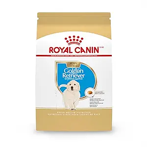 Royal Canin Golden Retriever Puppy Dry Dog Food