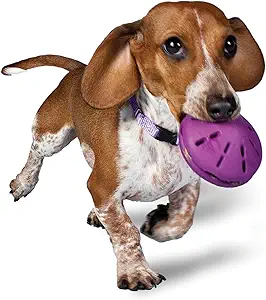 HOLDS WIDE VARIETY OF TREATS: The two halves are adjustable to hold small treats and kibble; fill with hard, soft and smearable treats
REWARD AND CHALLENGE TOY: Twist the halves far apart to dispense a quick treat or twist closer together for a tougher challenge to keep your pet playing longer
SMALL DOGS: Designed for dogs 8-20 pounds