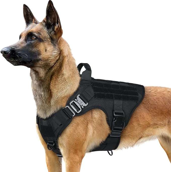 Large Dog Molle Vest: Neck Girth: 26.4” - 34.6” (67.1 - 87.9cm), Chest Girth: 33” - 41.3” (83.8 - 104.9cm), Belly Length: 13.3” - 17.7” (33.8 - 45cm), Back Length: 11.4” (29cm). Ideal for Large Breeds such as German Shepherds, Belgian Malinois, Golden Retrievers, Huskie, Labrador, Akita, etc. A professional working dog vest for service, police, or military dogs, but also suitable for hunting and all outdoor companion dogs
Military-standard Material: Heavy duty vest made of 1050D Nylon with sturdy stitching for extra durability and wearability, suitable for all field use. Two Metal Shoulder Buckles can bear great pulling force, ensuring your dog is safely harnessed during training, hunting, working, and any other occasion. Well padded in every pressure load point to protect your dog, while the breathable air mesh keeps your dog ventilated and comfortable
Practical Design For Versatile Use: Molle system equipped on both sides for pouches, water bottles, and tactical dog gear. Multiple Hook & Loop Panels for morale patches and badges to showcase your dog’s personality. A wide range of use for personal service, law enforcement, hunting, or outdoor recreation
Maximum Control & Security: The dog safety harness features 2 Metal Leash Attachment Points for safer dog walks - One Front Clip for No-Pull control or dog training, and one Back Clip for casual walking or jogging. Reinforced top handle for additional control and easy lifting aid in both general and treacherous situations
Easy Use With Full Adjustment: Put on and take off this easy dog harness with 4 quick-release buckles with no hassle. 5 fully adjustable straps (2 Shoulders, 2 Chest, 1 Belly) allow a snug fit with maximum mobility