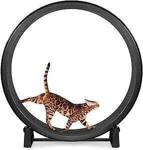 SAFE INDOOR EXERCISE - Helps prevent boredom and destructive anxiety behaviors by giving indoor cats an outlet to burn excess energy. Most cats can learn to use the wheel with a bit of daily training for a couple weeks. Older cats or low energy cats may need more training.
LARGE DIAMETER - Our 48” diameter wheel is big enough to accommodate cats up to 25 lbs. Unlike smaller wheels, your cat will have plenty of space to extend their body while running, with no risk of injury to your cat’s spine.
EASY ASSEMBLY - The wheel is constructed from lightweight parts that snap together, no special tools or expertise required. With few parts and a straightforward design, assembly typically takes less than twenty minutes.
DURABLE FELT PADS - The interior of the wheel is lined with adhesive felt pads to provide traction. The felt is durable against claw marks and scratches, but won’t trap a nail like carpet can. It’s the perfect blend of function and safety.
30 DAY RISK-FREE RETURNS - We understand that not every cat will take to the wheel, even with the most diligent training. If your wheel isn’t working out, simply disassemble and ship it back in the original box. We’ll even provide the return label!
USA-MADE - The One Fast Cat Exercise Wheel is made in-house at our facility in Camarillo, California. We’re able to recycle and reuse the ABS plastic our wheel parts are made of, meaning that if you have to return your wheel, it won’t end up in a landfill.