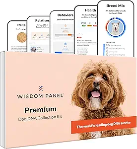 Screen For More Health Conditions Than Any Other DNA Test. We test for 265+ genetic health conditions (including MDR1, IVDD, POMC, and urinary stone risk) so you can get ahead of health risks and create a personalized care plan with your vet
The Most Accurate Breed Detection: Screen for 365+ breeds to get a breed report down to 1%. Because knowing every detail helps you understand how to care for them
4m+ Pets Tested In 50+ Countries: Wisdom Panel is the world’s leading Dog DNA Service thanks to its quick, painless swabbing process, fast and accurate results, and reliable insights you can use for years to come.
Learn About Their Traits and Behaviors: Know them better inside and out. Understand their behavioral predispositions, from sociability to motion sickness, with 15 behavior tests so you can tailor their training and care. Plus, Wisdom Panel screens for 51 traits so you can learn how their one-of-a-kind appearance came to be
Meet Their Relatives: 99.9% of dogs find a relative through Wisdom Panel. With the world’s largest breed database and 4 million dogs tested, you can see photos, compare DNA results, and send messages