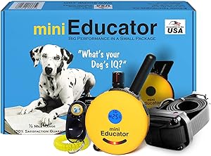 E-Collar - ET-300-1/2 Mile Remote Waterproof Trainer Mini Educator Remote Training Collar - 100 Training Levels Plus Vibration and Sound - Includes PetsTEK Dog Training Clicker