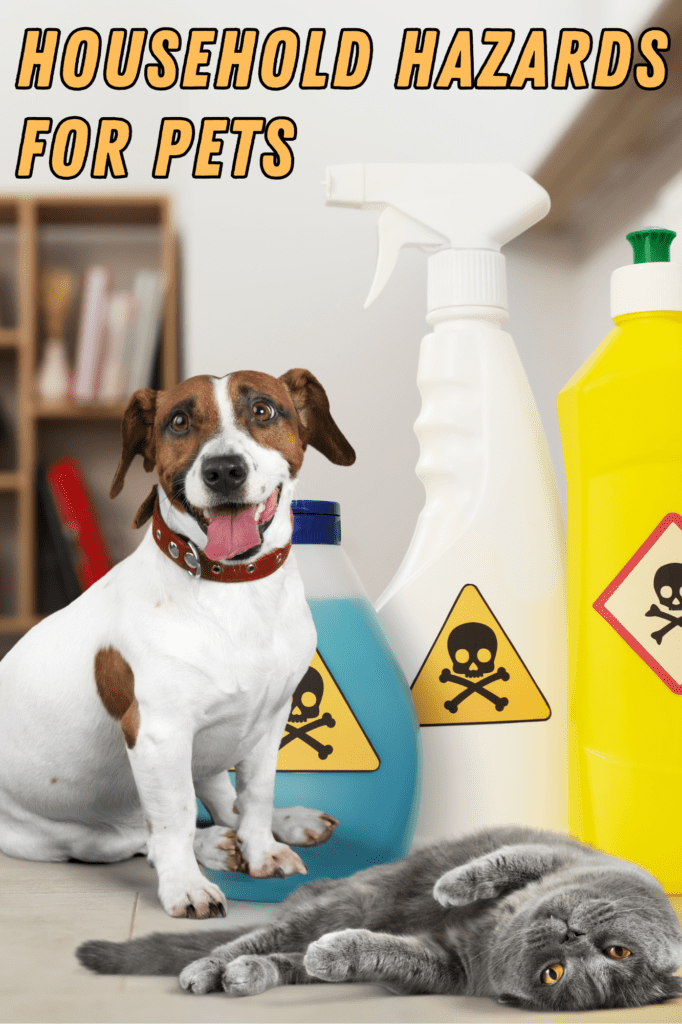 Household Hazards for Pets: What You Need to Know

As  pet owners, we want to create a safe and loving environment for our furry friends. However, many household items and conditions can pose significant risks to their health and well-being. In this blog, we will explore common household hazards, how they can affect your pet, and practical steps to minimize these risks.