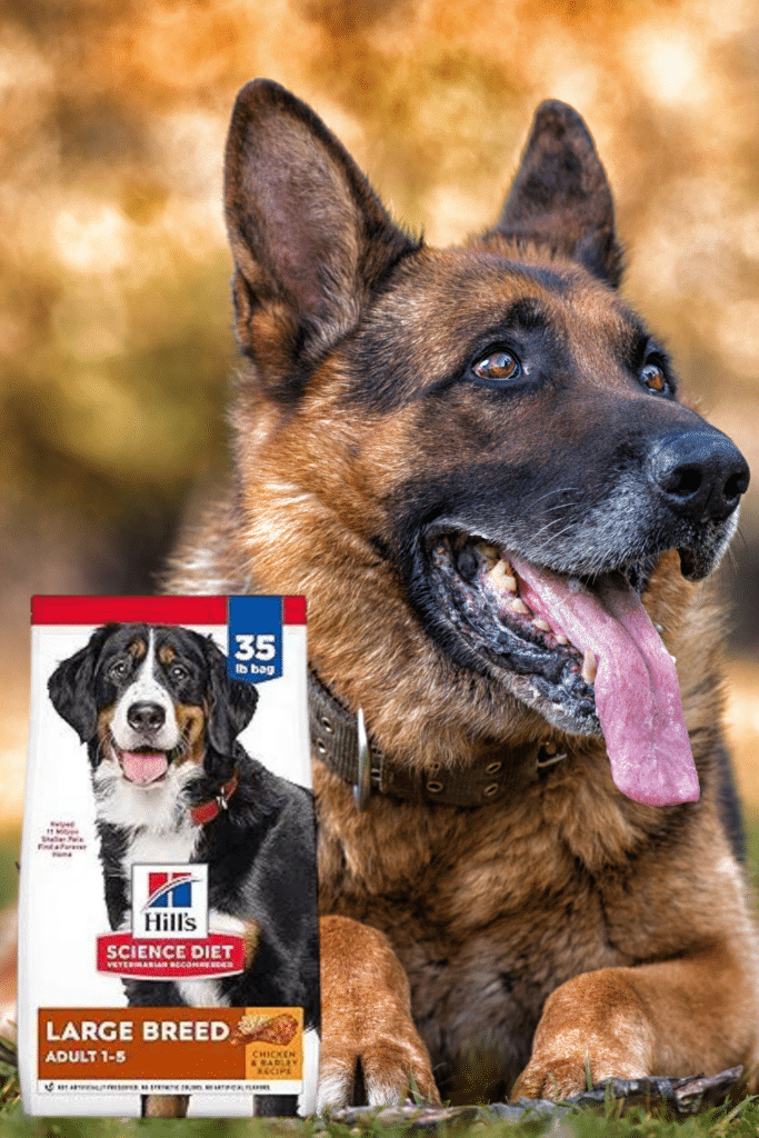 Hill's Science Diet Large Breed, Adult 1-5, Large Breed Premium Nutrition, Dry Dog Food, Chicken & Barley, 