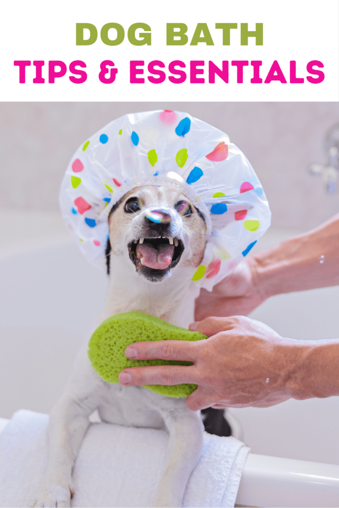 Dog Bath Tips and Essentials: A Guide to Keep Your Pup Clean and Happy

Bathing your dog is an essential part of pet care, ensuring your furry friend stays clean, healthy, and comfortable. However, the process can be tricky, especially if your dog isn’t a fan of water. This guide will walk you through the best tips and must-have essentials for a successful dog bath, making the experience enjoyable for both you and your pet.