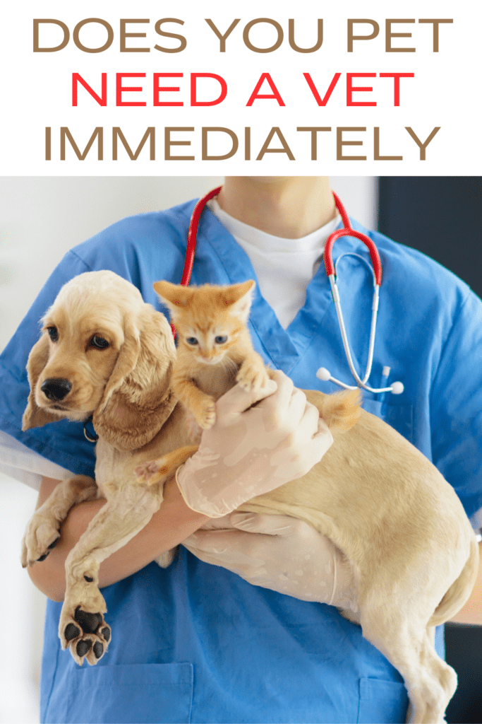 10 Signs Your Pet Needs to See a Vet Immediately
As a responsible  pet owner, recognizing the signs that your pet needs immediate veterinary attention is crucial. Early intervention can save your pet’s life and prevent further complications. Always trust your instincts, and when in doubt, it’s better to err on the side of caution and seek professional advice. By staying vigilant and informed, you can ensure your beloved pet receives the care they need to stay healthy and happy.