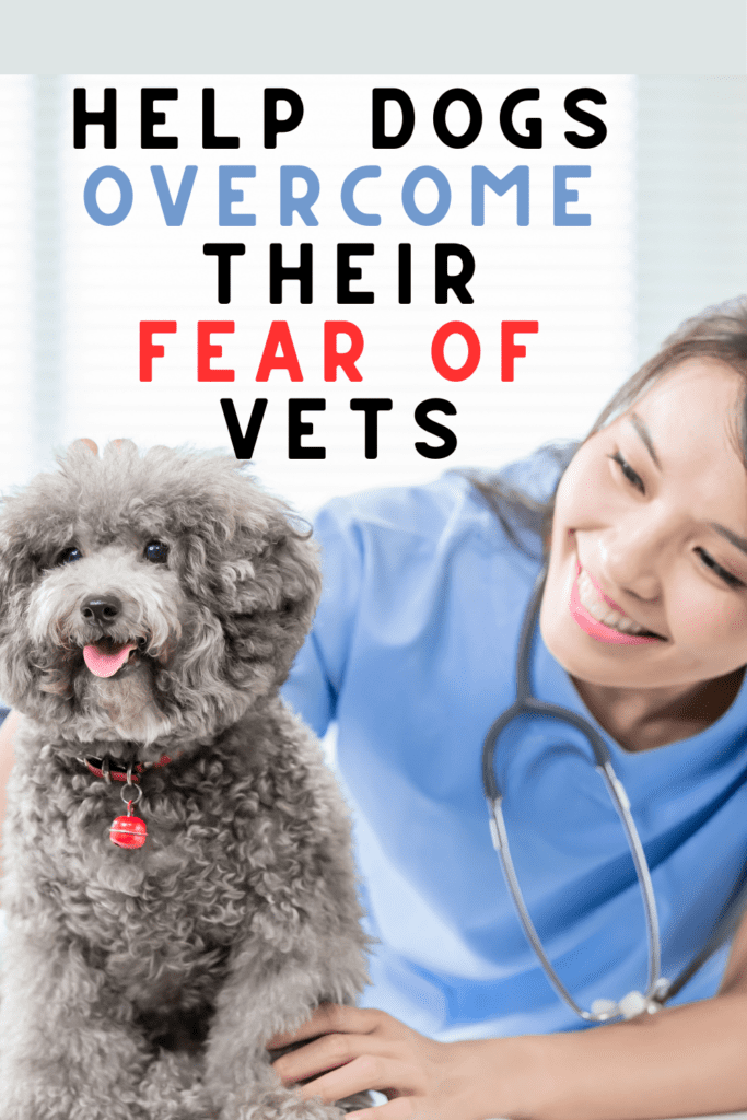 How to Help Dogs Overcome Vet Anxiety: 10 Simple Tips
Visiting the vet can be a stressful experience for many  dogs. The unfamiliar environment, strange smells, and the possibility of uncomfortable procedures can make even the most well-behaved dog anxious. However, with some preparation and positive reinforcement, you can help your dog feel more comfortable during vet visits.