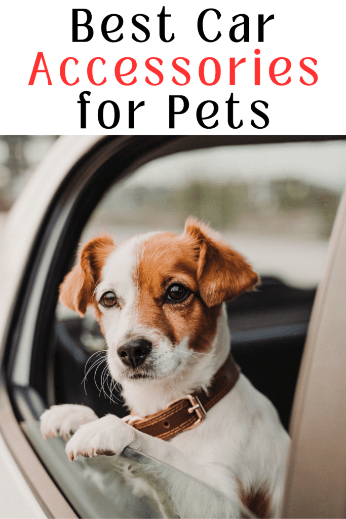 The Best Car Accessories for Pets: Make Every Trip Pet-Friendly

Traveling with your  pets can be an enjoyable experience, but it requires careful preparation. The right accessories not only keep your furry friends comfortable but also ensure their safety during the journey. This comprehensive guide will walk you through the best pet-friendly travel accessories for cars. Whether you’re planning a road trip or just a short drive, these must-have items will make the ride smoother and stress-free for both you and your  pet.