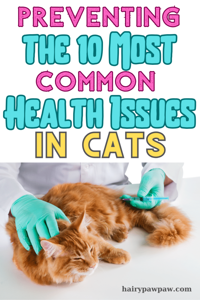 10 Cat Health Problems and How to Prevent Them

Cats, those mysterious and elegant creatures, often mask their discomfort and ailments, making it challenging for  pet owners to recognize when something is wrong. Understanding common health issues in  cats and knowing how to prevent them can significantly improve your feline friend’s quality of life. In this detailed guide, we’ll explore prevalent health problems in cats, their symptoms, and effective prevention strategies.