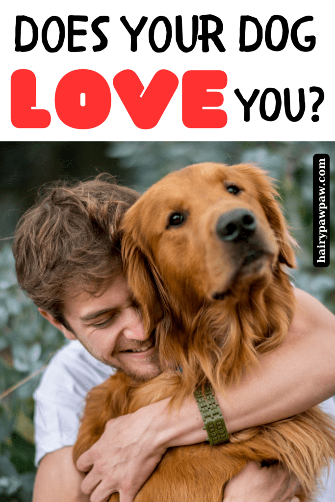 How to Tell If Your Dog Loves You: 10 Signs Your Pup Is Head Over Paws for You

As  dog owners, we often wonder how our furry friends feel about us. Do they really love us, or are we just the ones who provide food and shelter? Understanding the signs of a dog’s love can strengthen the bond between you and your pup, making your relationship even more special. In this blog, we’ll explore the top 10 ways to know if your dog truly loves you.