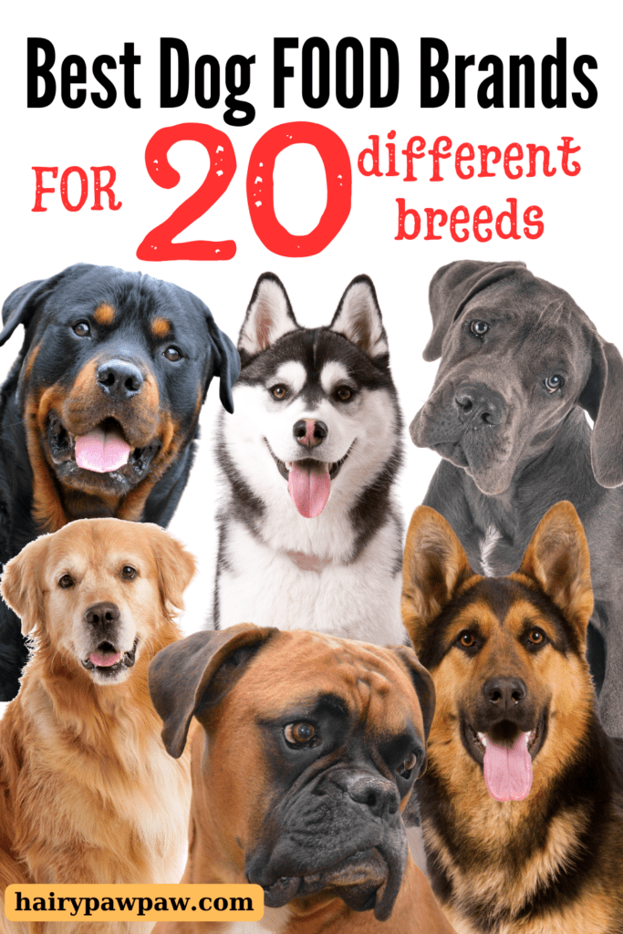 op Dog Food Brands Tailored for Your Favorite Breeds

Discover the best dog food brands tailored to meet the specific nutritional needs of popular dog breeds. This guide explores top-rated options, highlighting ingredients and benefits to help you make informed choices for your furry friend’s health and happiness. Whether you have a Labrador, German Shepherd, or Poodle, find the perfect food to support their unique requirements.