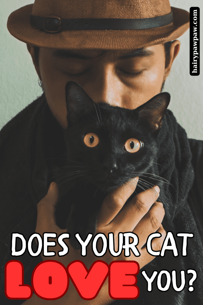 Does Your Cat Love You? Signs to Understand
Cats have a reputation for being independent and sometimes even aloof, but for those who share their lives with these complex creatures, it’s clear that  cats have their own unique ways of showing love. Unlike dogs, who are often openly affectionate, cats can be more subtle in expressing their feelings. Understanding these subtle signs can help you build a stronger bond with your feline friend and ensure that they feel loved and secure. In this comprehensive guide, we’ll explore the many ways cats show affection and how you can recognize when your cat is telling you, “I love you.”