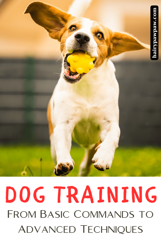 Essential Dog Training: From Basic to Expert Techniques

Unlock the secrets to effective dog training with our comprehensive guide, “Dog Training Tips & Tricks: From Basic Commands to Advanced Techniques.” Whether you’re a first-time dog owner or a seasoned pet parent, this blog post is packed with essential information to help you train your dog efficiently and humanely. We’ll take you through the foundational commands such as “sit,” “stay,” “come,” and “heel,” and then guide you to more advanced techniques like off-leash training, agility exercises, and behavior correction.

Discover the best practices for positive reinforcement, learn how to use clicker training to your advantage, and find out how to address common behavioral issues such as barking, chewing, and jumping. Our expert tips are designed to strengthen the bond between you and your dog, making training a fun and rewarding experience. With step-by-step instructions, helpful diagrams, and practical examples, this guide is your go-to resource for all things dog training.